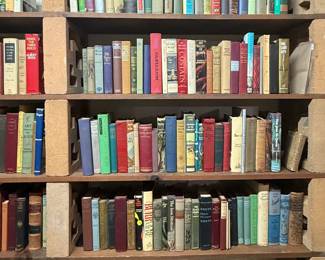 Just some of the hundreds of antique and vintage books available at this sale 