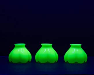 Seen under black light: Three uranium glass hand blown tulip flower form shades circa 1900