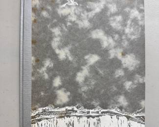 The White Cliffs by Alice Duer Miller, 1941 special edition, silver spine with printed decorated boards, publishers Coward-McCann, Inc., New York