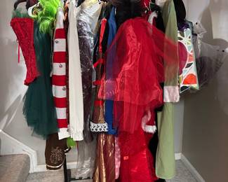 Adult Halloween costumes 
