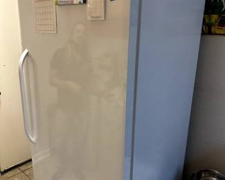 Stand Up Freezer (34" W x 23" D x 73.5" H)