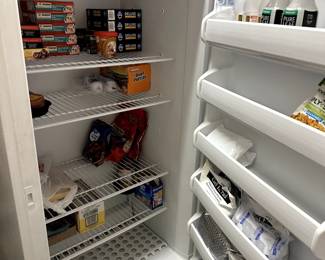Stand Up Freezer (34" W x 23" D x 73.5" H)