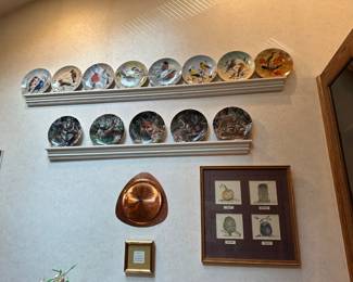 Collector Plates