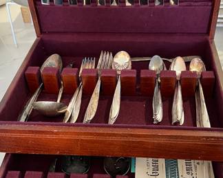 Community Flatware in Case