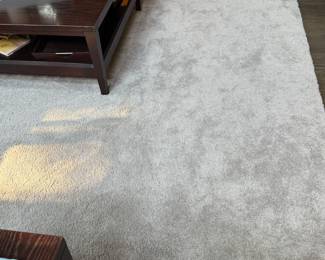 Neutral area rug…clean and like new (yellow spot in photo is merely the light reflected)