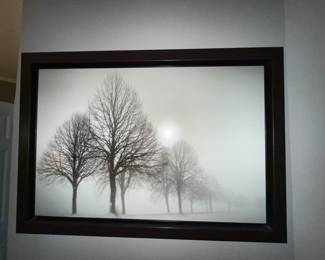Tree picture