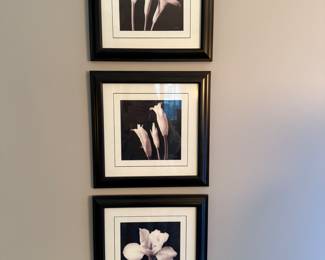 Trio of flower pics