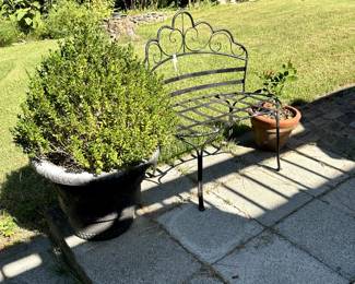 Lovely bench 