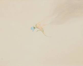 236
Norman Zammitt
(1931-2007)
Blue flower, 1969
Colored pencil on paper
Signed and dated in pencil lower left: N. Zammitt 1969
Sight: 13.625" H x 21.625" W
Estimate: $500 - $700