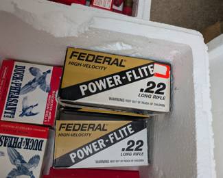 Ammunition 