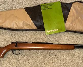 Remington .22 cal rifle