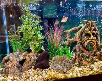 This could be all yours - For the sale, tank will be empty but this is how it can be setup again. Just add water and fish 
