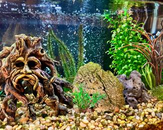 This could be all yours - For the sale, tank will be empty but this is how it can be setup again. Just add water and fish 