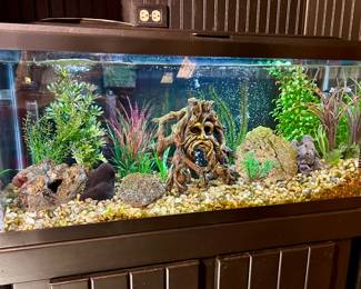 This could be all yours - For the sale, tank will be empty but this is how it can be setup again. Just add water and fish 