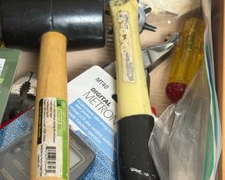 Mallot and Hammer 