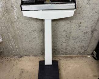 Professional Scale