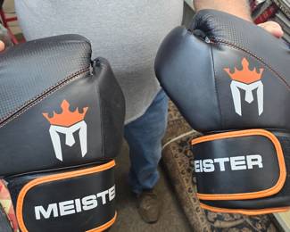 Meister Boxing gloves