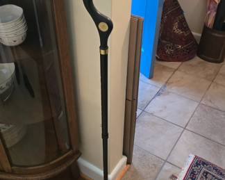 Hiking stick