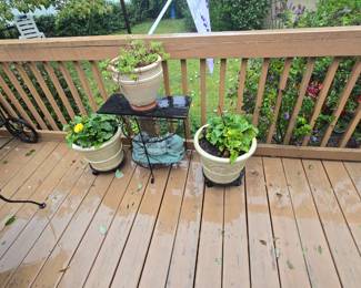 Plants