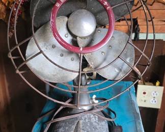 Fan