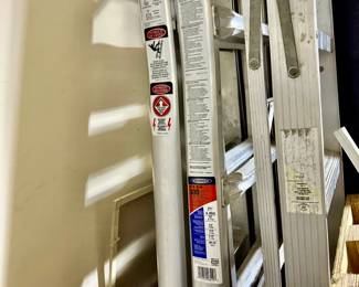 Werner ladder 