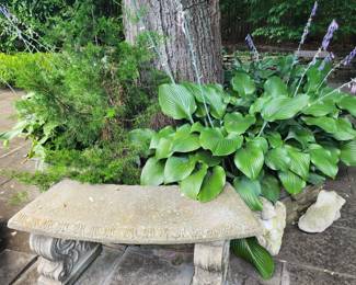 Cement bench