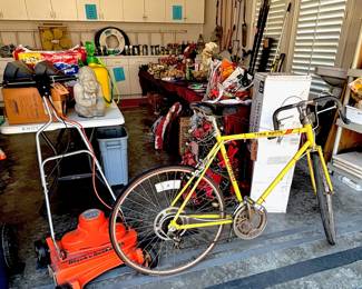 Free Spirit 10-Speed Bike