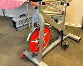 "Sunny" Magnetic Resistance Fitness Bike
