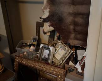 Nice frames animal skin rug 