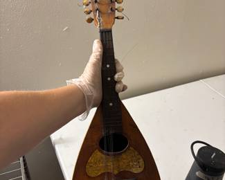 Vintage banjo
