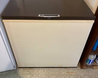 Chest freezer