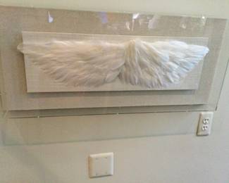 Lucite Shadow Box w/Feathers