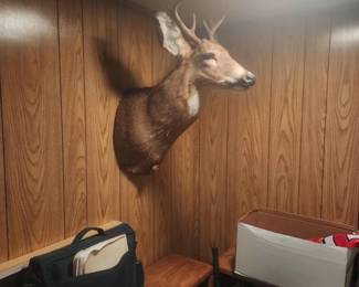 6 POINTER
