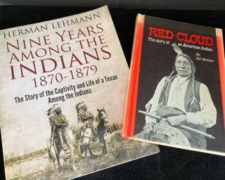 Red Cloud The Little Big Man Native American Books