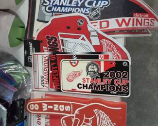 Go Red Wings!