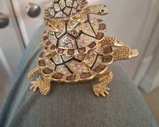 Turtles!