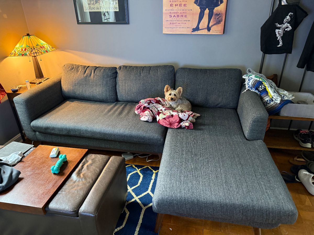 Couch (two pieces). Dog NFS