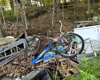 blue bike