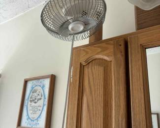 fan