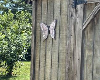 butterfly