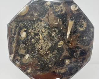 41 LargeBrownFossilOctagonPlatterwAmmonoidsOrthoceras