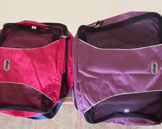 EBAGS