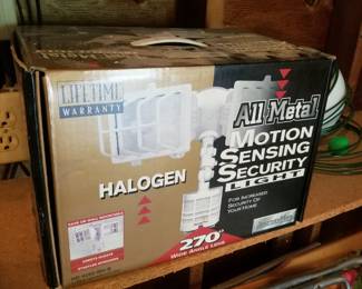 Motion security light