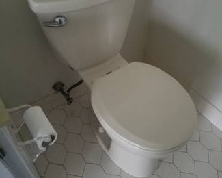 Updated toilet