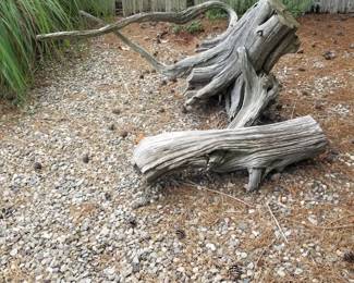Driftwood