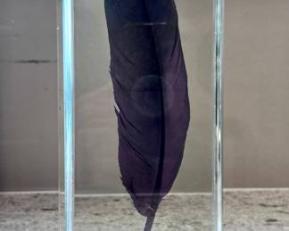 Feather in Crystal Art