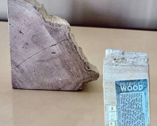 Petrified Wood