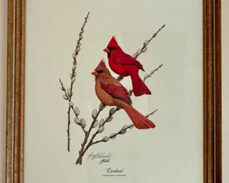 Framed Art - "Cardinal, Richmondena Cardinalis" - Guy Coheleach 