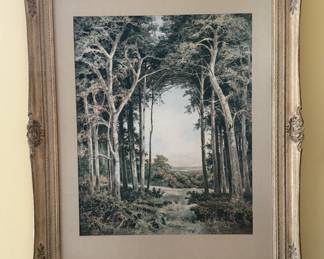Matted and Framed Art - "Evening Light"