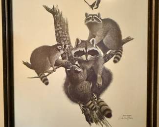 Framed Art - "Racoon, Procyon Lotor" - Ray Harm 